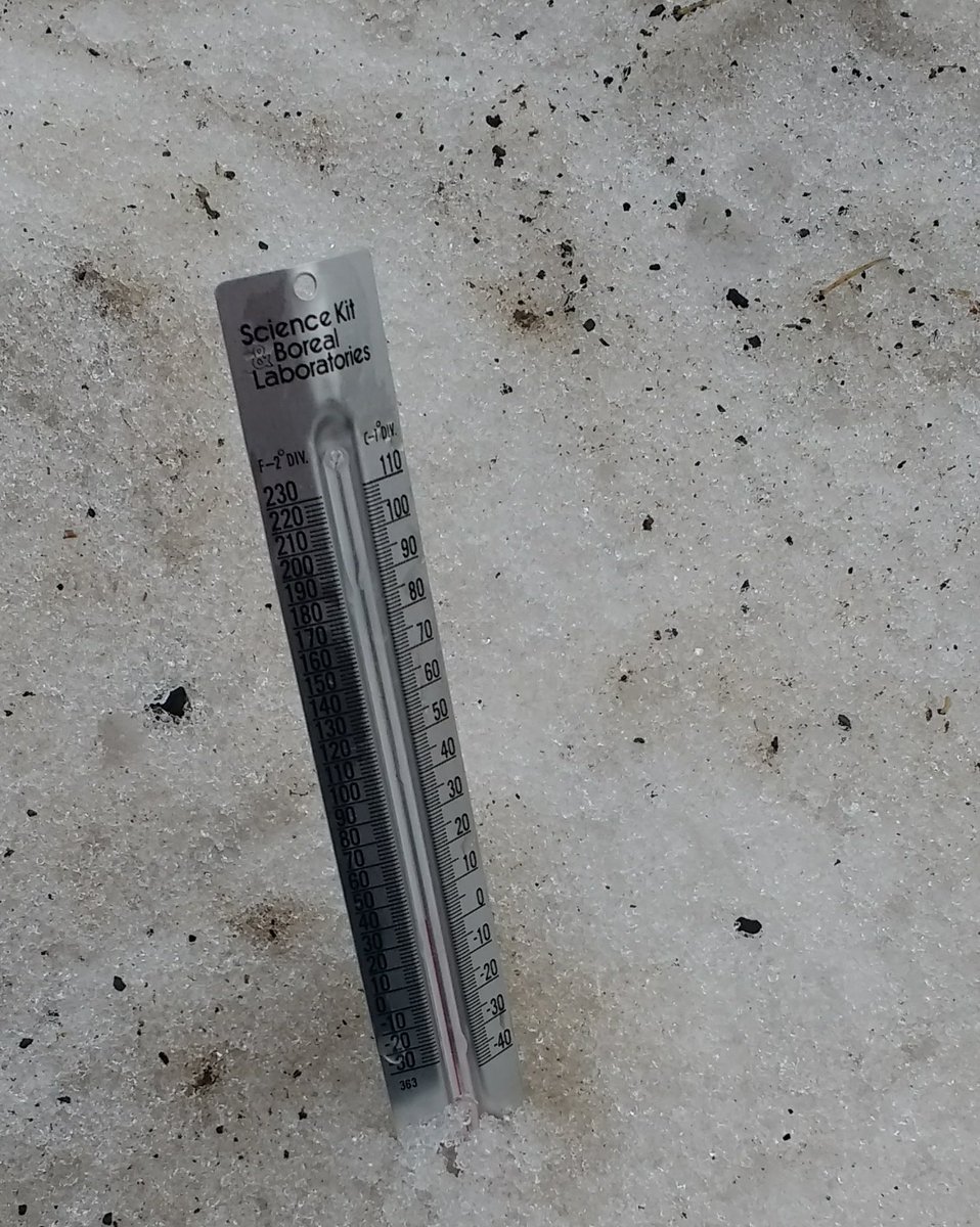 GES_Fegley1st's tweet photo. Thermometers: How do they change when we go outside, plummet them into snow, and immerse them in puddles? Great discoveries & discussions! #gwdes https://t.co/g6jMy5qQqg