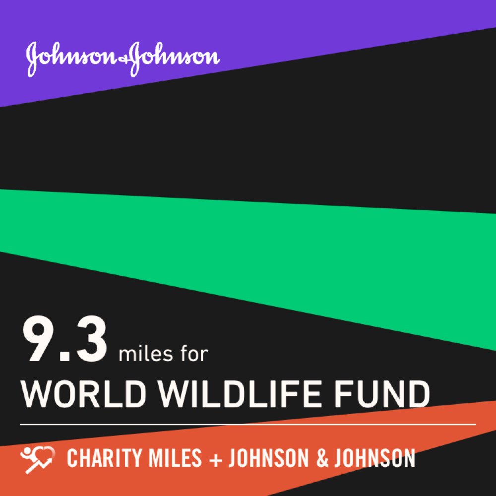 BridgetteBrot's tweet photo. 9.3 @CharityMiles for @WWF. Thx 2 #JNJ &amp; @DonateAPhoto. #EveryMileMatters https://t.co/hOOYLbsShI