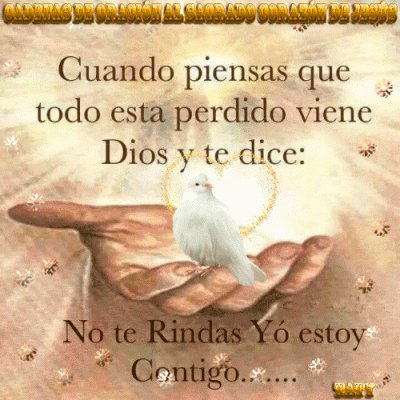 ziniatimagda's tweet photo. @beatriz08192949 @GabyAle91 @tormentosha @heramito @glinis_lopez @ziniatimagda2 @lachyrami78 @yoeabreu72 FELIZ domingooooooooooooooooo https://t.co/og9zusfJ9R
