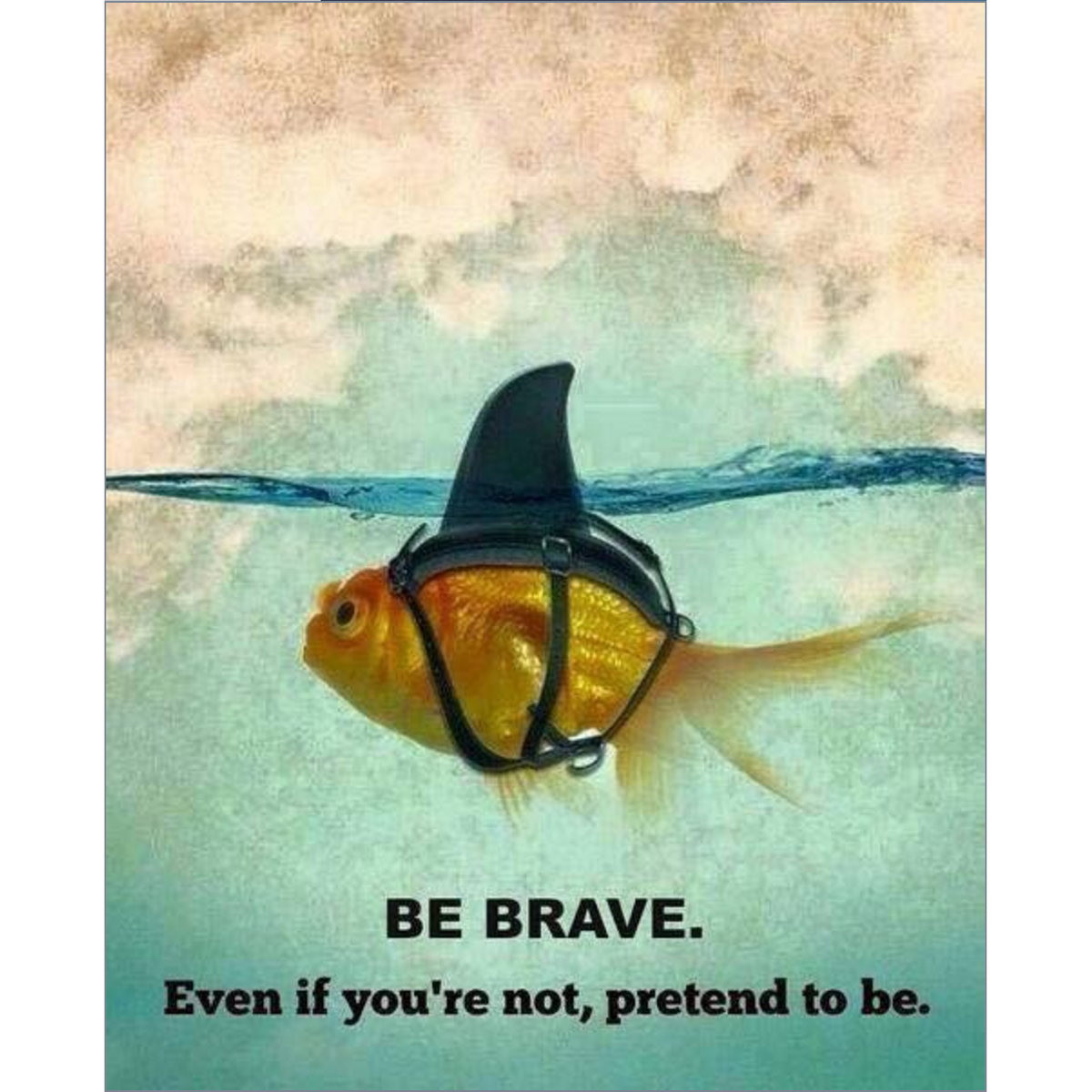 browniedavis's tweet photo. Small fish can do big things. https://t.co/2WUz0r4iAn