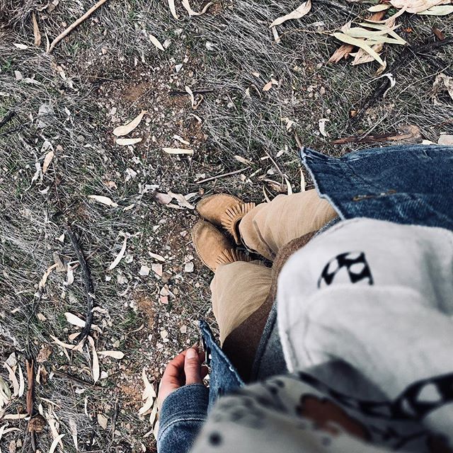 LesCornesDeJuJu's tweet image. Promenade dans les bois 🦊🌲🦔🐿
#lescornesdejuju #slowweekend #forest ift.tt/2EBV29V