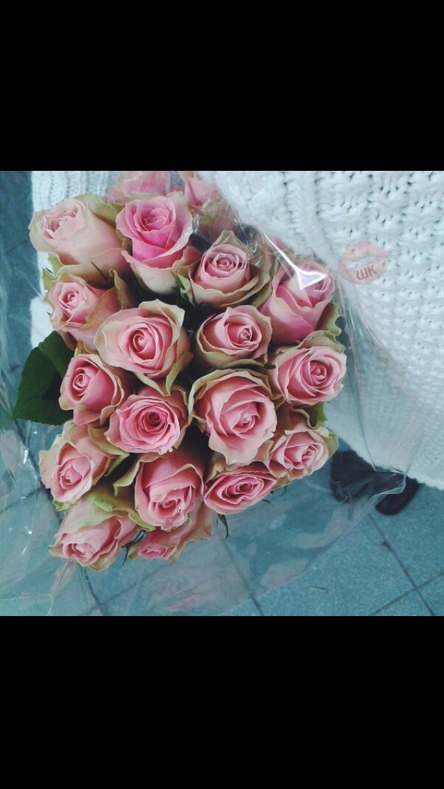 ziniatimagda's tweet photo. @beatriz08192949 @ziniatimagda2 @tormentosha @glinis_lopez @yoeabreu72 @lachyrami78 @heramito @irinabaevafans4 @MarluciaF13 @AgudoGmail @andyeta1979_1 @FandeMariodu34 @GabyAle91 @cecialdo @Maluba57 @patriwill09 @selvaggia479 @CimarroFCArgent @tgaizagian @Cristie781 @MariRamirez888 con amor para todas https://t.co/nhKRO9CQMX