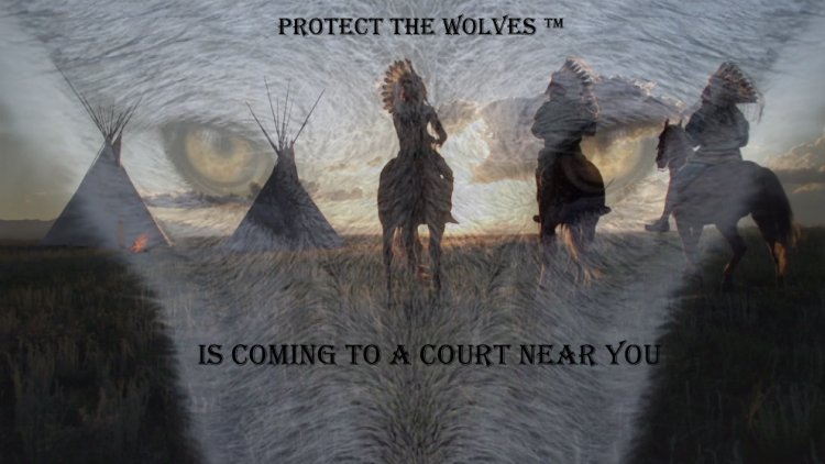 protectthewolve's tweet image. A HUGE Thank you to Our Montana Volunteer Dagmar Riddle - #OpposeWelfareRanchingNotWolves #SacredResourceProtectionZone - 

A HUGE Thank you to Our Montana Volunteer Dagmar Riddle for reading our Petition into the Record to change Montana Hunting... - protectthewolves.com/a-huge-thank-y… -