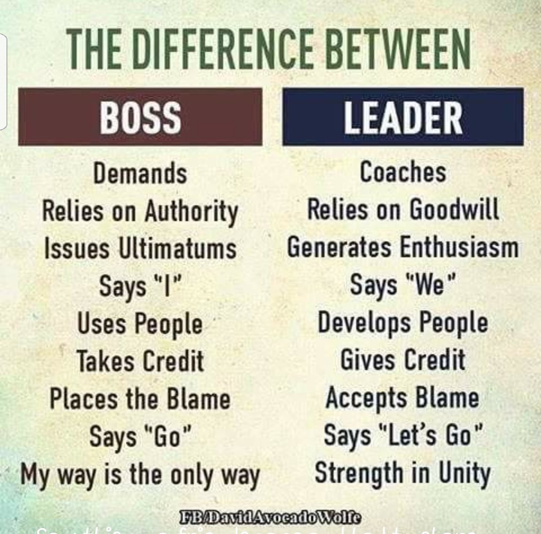 Michelle Wells tweet media