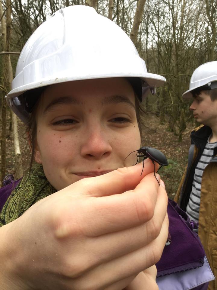 Katy Ivison tweet media