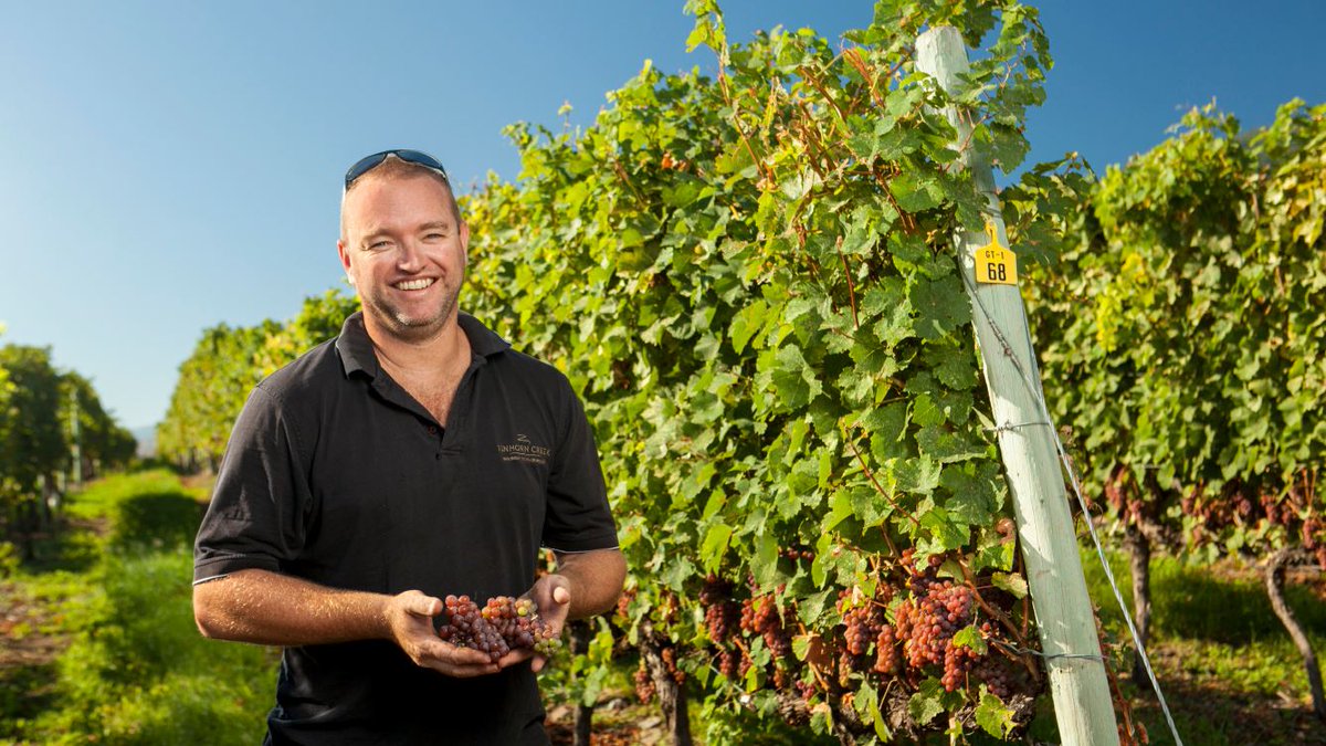 BCWine's tweet photo. We are Canadians, British Columbians, small business operators, farmers. At just over 10,000 acres, we are a small wine industry yet hard-working, innovative and passionate. Thank you for supporting #BCWine #BCVQA. https://t.co/nTaROgevnw