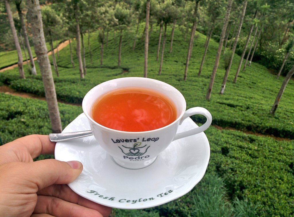 estemdevacances's tweet photo. Todavía nos queda te de nuestra aventura por #SriLankaByTukTuk!!! #TeaPackers https://t.co/OAQZah2IWc