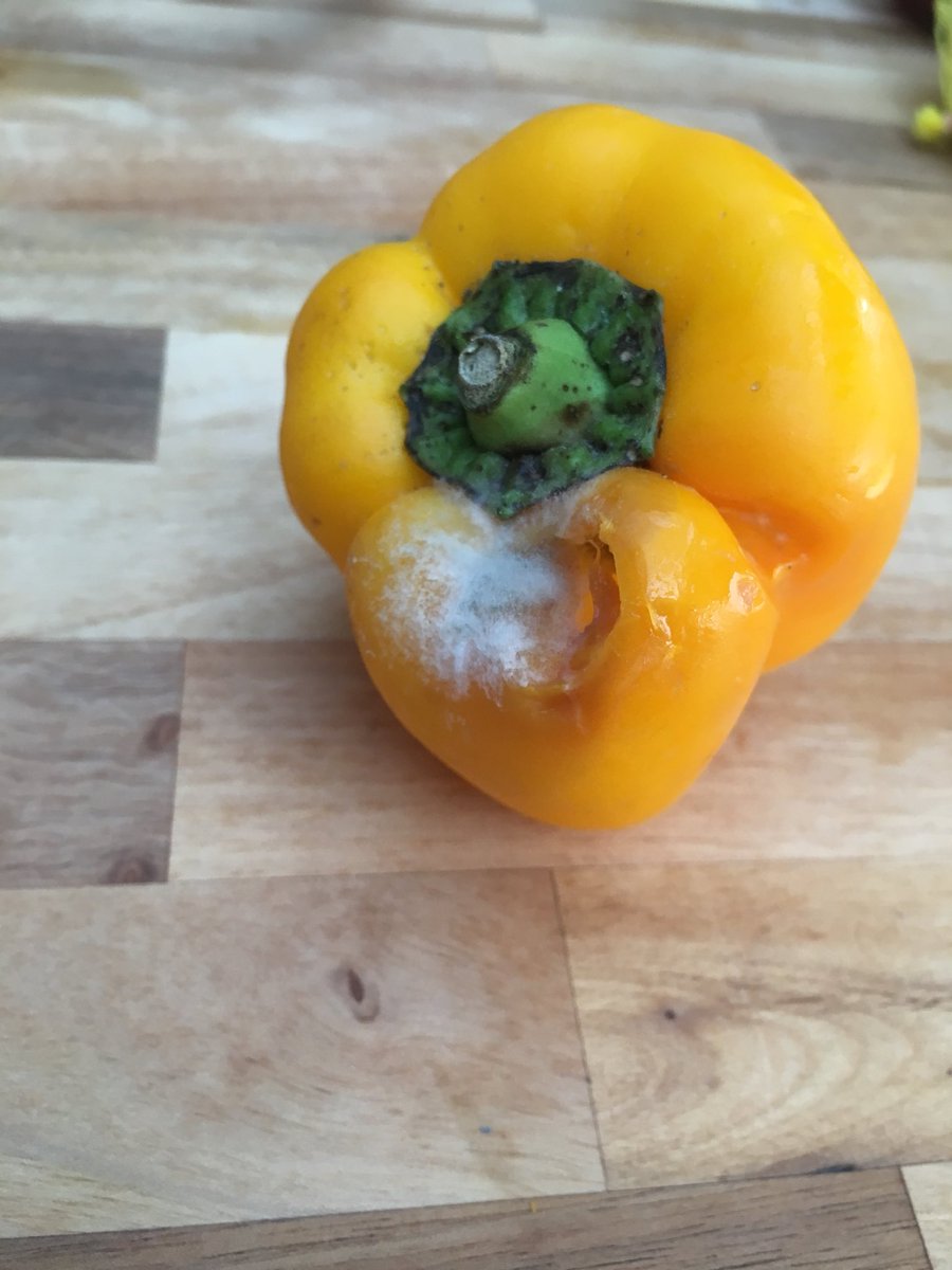 Nice one <a href="/MuscleFoodUK/">MuscleFood</a> to add to the meat that was sent with short dates... sent over pics but no response! No more orders from me thank you 🤢😷