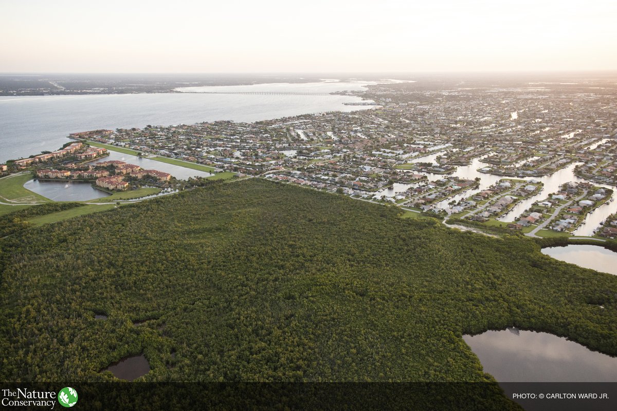 nature_org's tweet photo. A renewed focus on US infrastructure had us hopeful. We saw multiple opportunities to literally put nature to work, providing cost-effective solutions to challenges across the US. Unfortunately, @realDonaldTrump's proposal misses on those opportunities: https://t.co/Q3VtLoJKCX https://t.co/yZPSS0Oir6