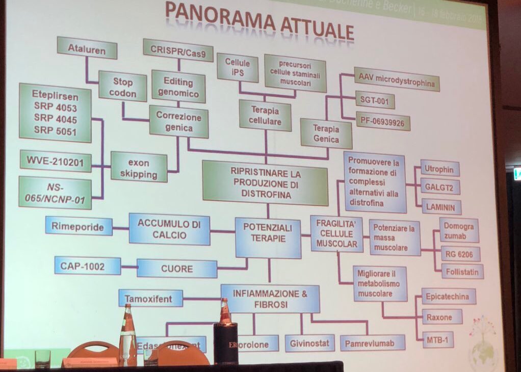Parent_Project's tweet photo. Il panorama delle strategie terapeutiche sperimentali per #Duchenne e #Becker è impressionante! Ne abbiamo parlato per 2 intensi giorni con #ricercatori #clinici e #biotech #confPP18 https://t.co/4MpwVtuuq9