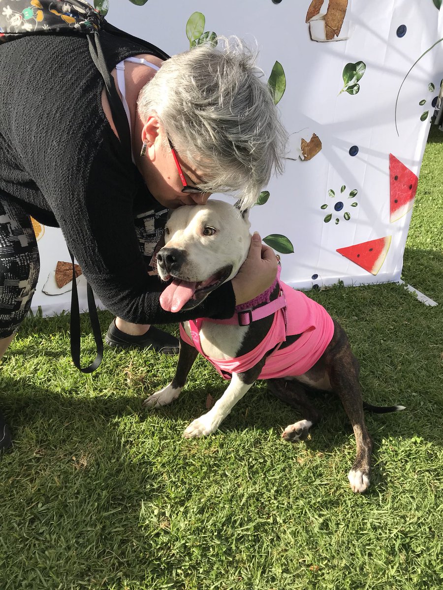 brittbarr24's tweet photo. #FlavorLife #PawsForPink with Golly 💚❤️🐾🐶 https://t.co/3QKgtgEBeF