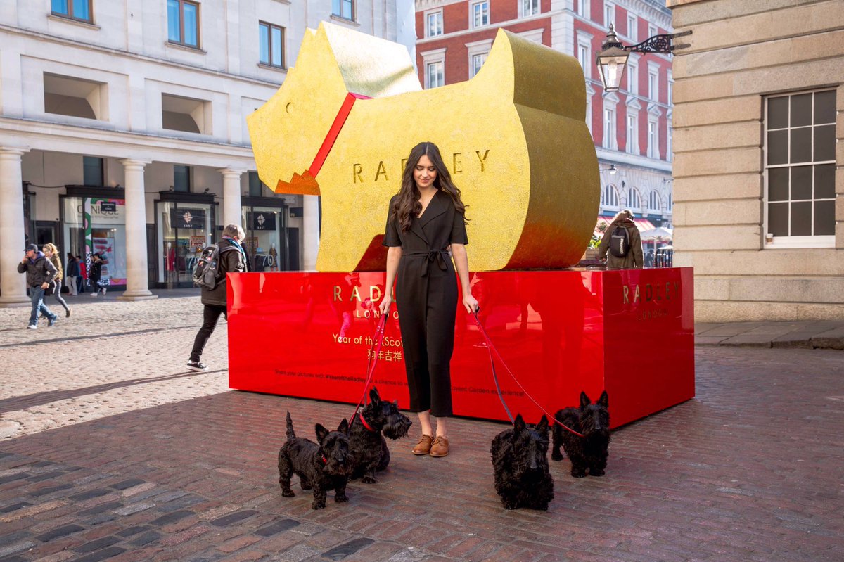 yinray2015's tweet photo. #YearOfTheRadley @RadleyLondon @Radley_London https://t.co/4LHsgzRqb2