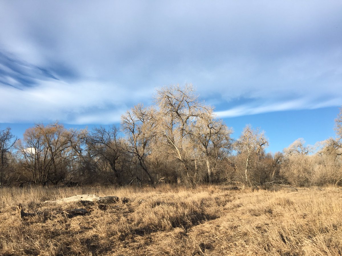 csuseeds's tweet image. The Phenology Committee will be discussing their test run at the Environmental Learning Center from this morning at the meeting tomorrow. Hope to see you there!