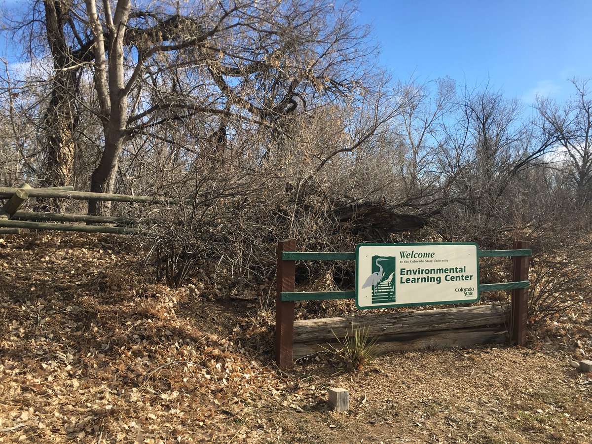 csuseeds's tweet image. The Phenology Committee will be discussing their test run at the Environmental Learning Center from this morning at the meeting tomorrow. Hope to see you there!