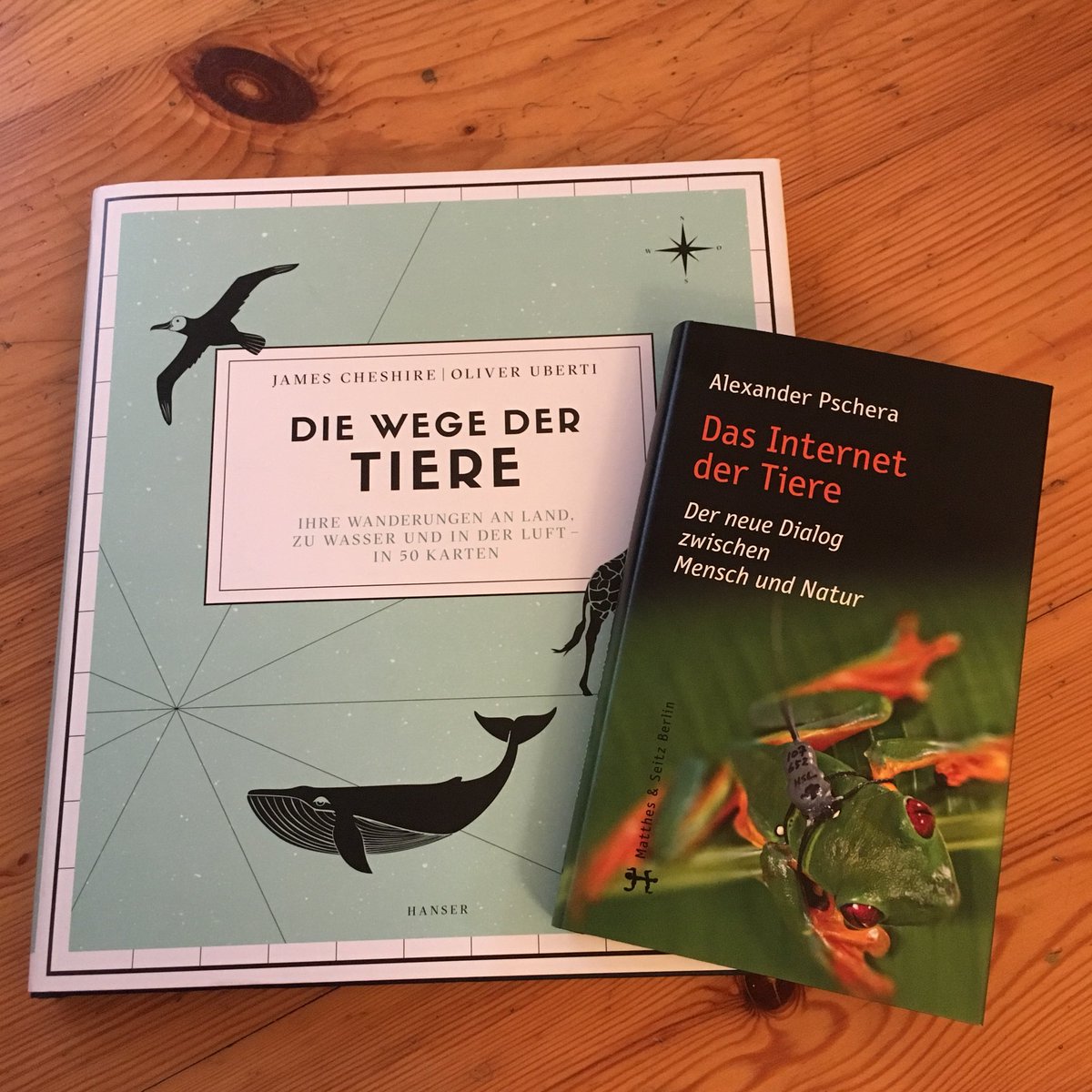 BerWeiss's tweet image. So schön kann Basislektüre für #animaltracking sein! #sensorjournalism #biologging #internetdertiere