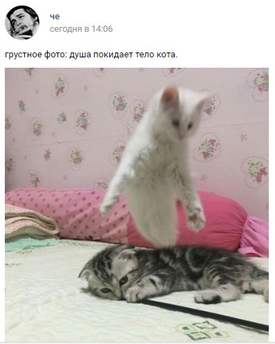 DWVVV_pW0AEEtuQ.jpg