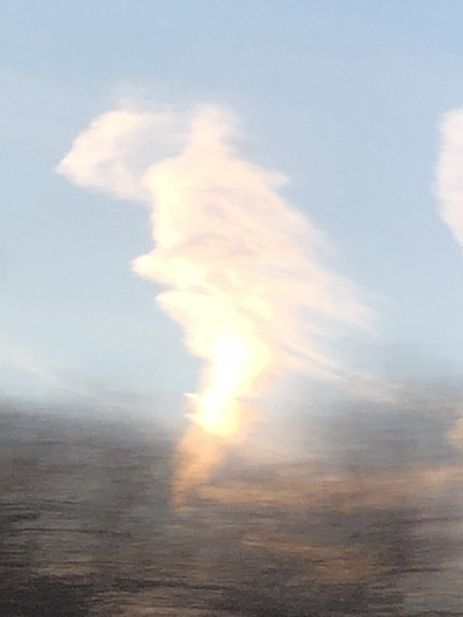 itfitzsimons's tweet image. Cloud angel.  Northern France. February 2017