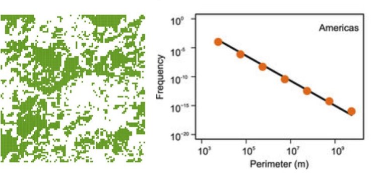 svalver's tweet image. Tropical forest fragmentation shows power-law size and perimeter distributions, with similar slopes across continents. @NatureEcoEvo #Percolation #ScaleFree
natureecoevocommunity.nature.com/users/81552-fr…