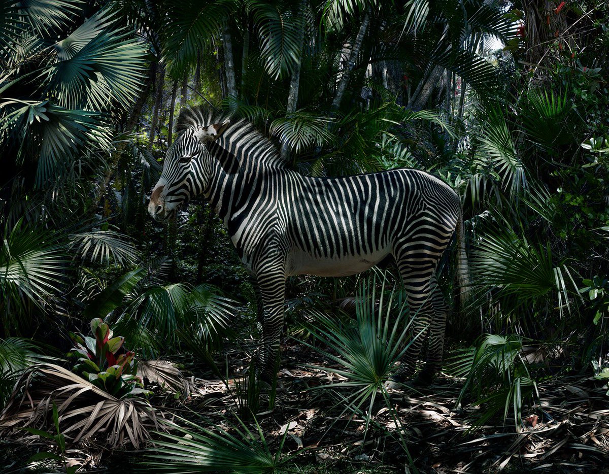 ThamKhaiMeng's tweet photo. Simen Johan, Untitled #181, 2015 https://t.co/TVNl6h1dDQ