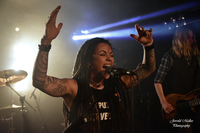 Gooddayz.nl tweet media