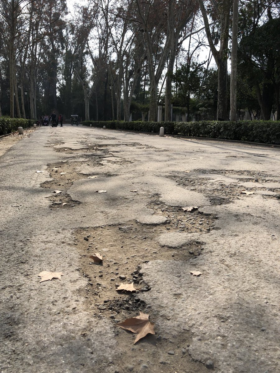 El peligroso abandono del Parque Maria Luisa, pasear en 🚲 sin meterte en ningún socavón 🎥 Misión Imposible