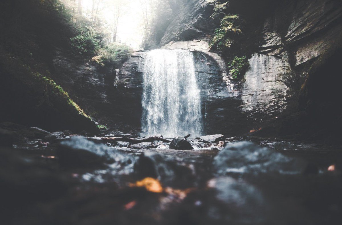 Cultivated Cocktails Distillery tweet media