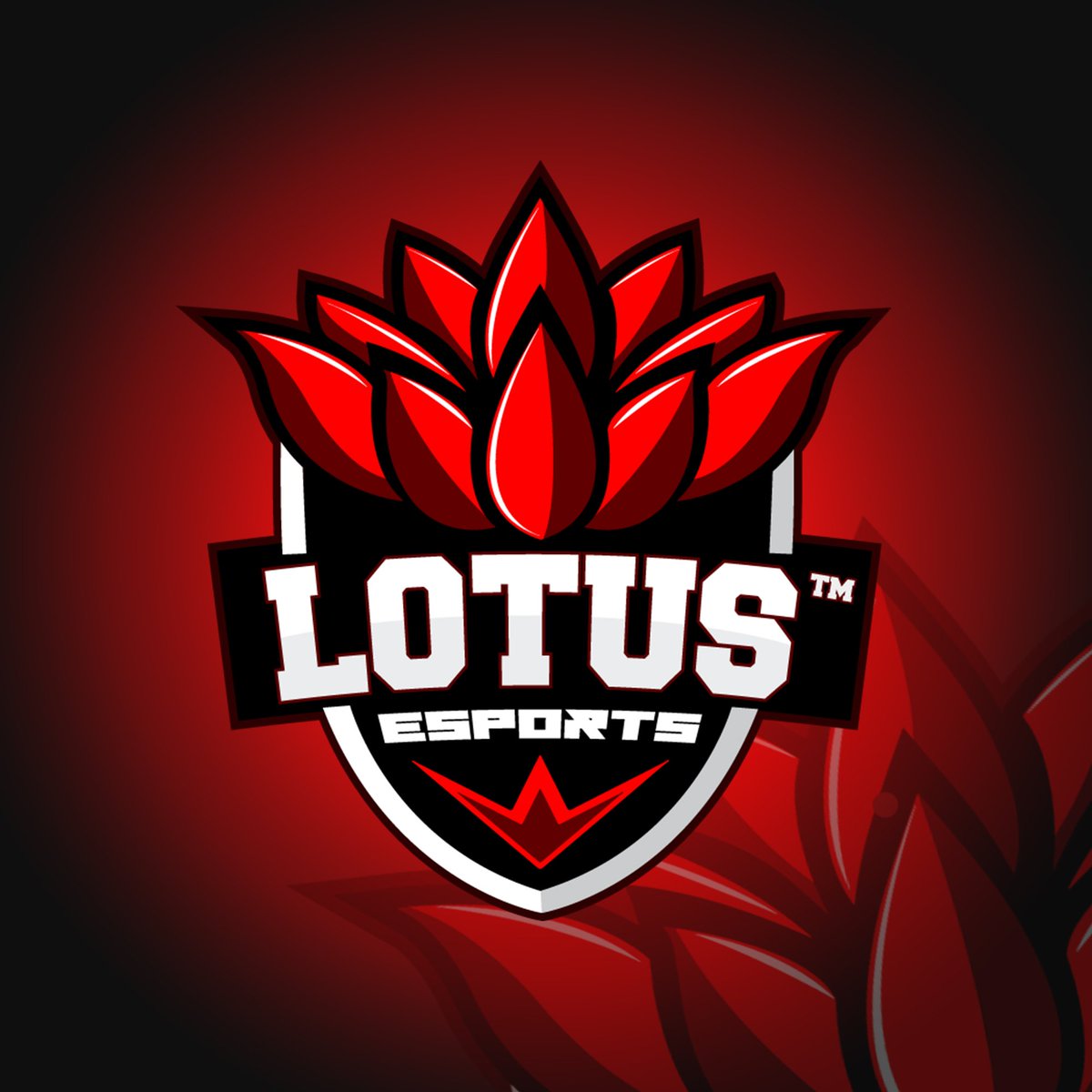 Le damos la bienvenida al décimo equipo inscrito! @LotusTeamCR que vienen a darlo todo en esta liga! Bienvenidos

No olviden mandar MD para inscribir a su equipo en esta gran liga!