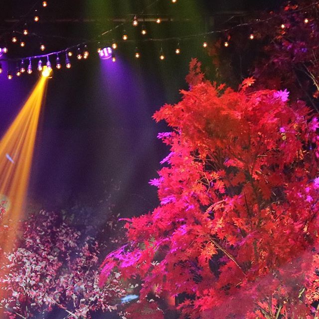 cornerstone_ofc's tweet photo. Thank you to everyone who supported @moirarachelle on the 2nd day of her First major concert 💓 Congratulations to all the people who made this concert truly memorable #TagpuanNiMoira #CornerstoneConcerts #BrightBulbProductions https://t.co/ELyzagVPxj https://t.co/ecYpPbIWXW