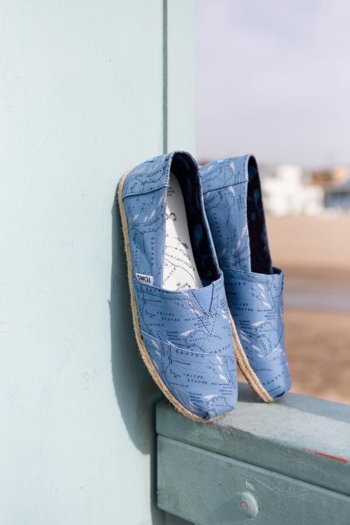 TOMS's tweet photo. Happy #WorldWhaleDay! We’re proud to partner with @Oceana on the latest installment of the #TOMSAnimalInitiative and support their work to protect whales and other marine species.
https://t.co/mu26cHf38K https://t.co/AJLZo6jRsi