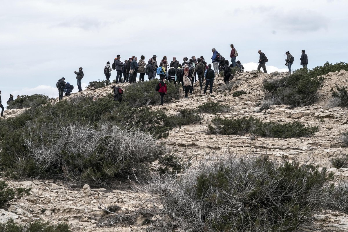 ARA_fotografia's tweet photo. Encara no has participat al nostre concurs a INSTAGRAM? Et convidem gràtis al festival Formentera Fotogràfica! #ARAFF2018 https://t.co/WtQTXfkj61 @formenterafotog @consellinsular @ARAbalears #fotografia #concursos #PhotoContest https://t.co/8DxgZJcPOg
