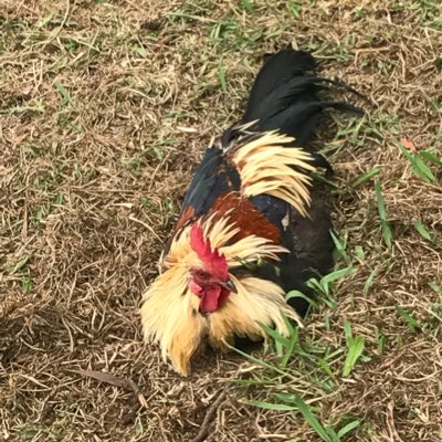 NuttMartin's tweet photo. #NewProfilePic https://t.co/DQuZzpDrs9