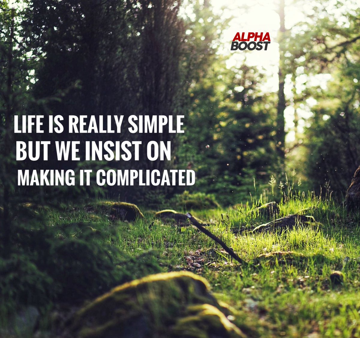 Don't overcomplicate your life 👍
Tag your friends who need easier life 🌳

Follow for more daily motivation

#transformationfitnation #fitlife #lovefitness #losingweightfeelinggreat #fitnessgirl #personaltrainer #instafit #muscle #fitmotivation #weightlosschallenge #fitnesslife