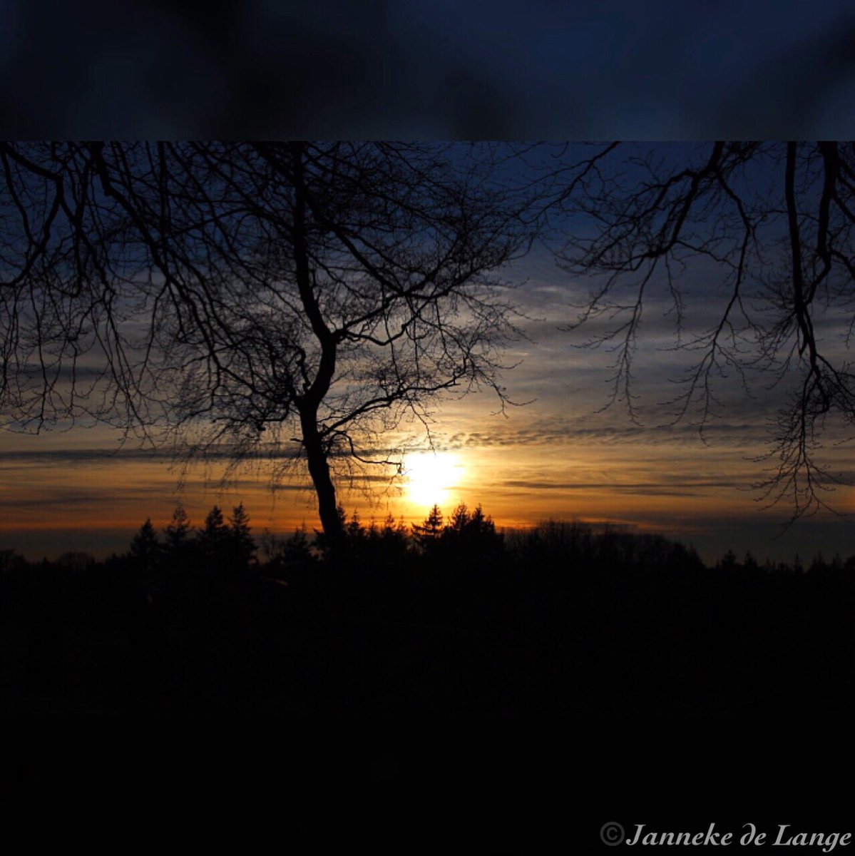 TypischJanneke's tweet photo. 📷
#sunsets #Sundowns #NaturePhotography #photographylovers https://t.co/dAL02YxICf