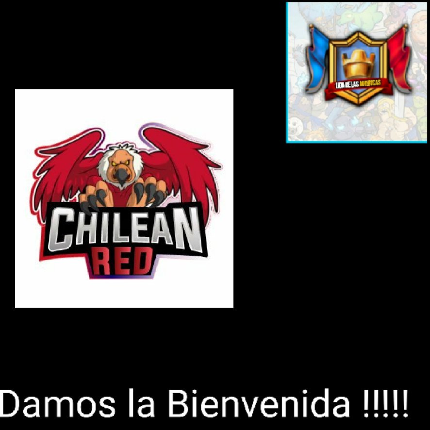 19/20 le damos la bienvenida a
<a href="/ChileanRed_/">Chilean Red</a>