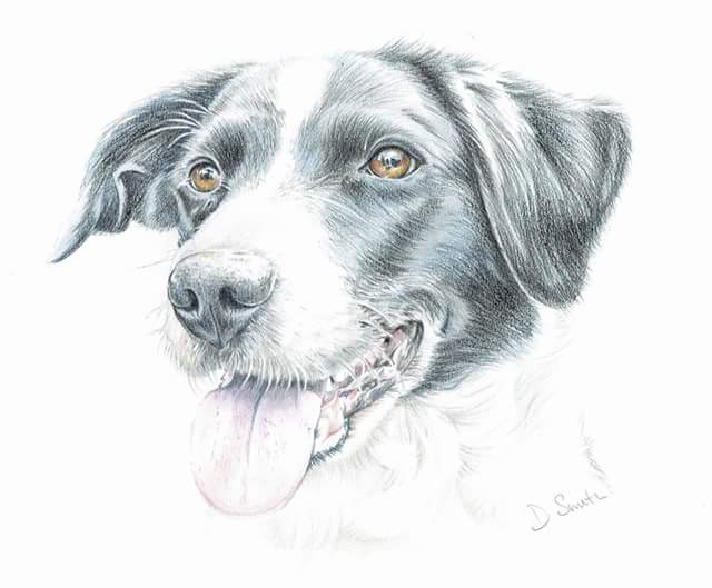 David Smith tweet media