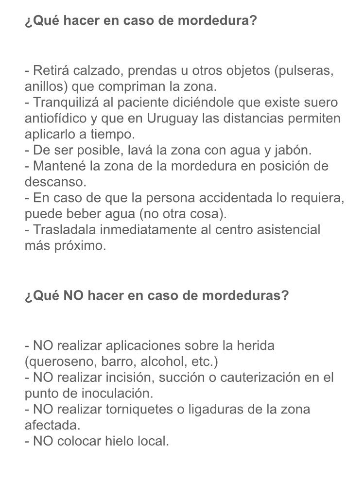 EricAlarcon_'s tweet photo. Recomendaciones del MSP por caso de mordedura de ofidio https://t.co/i1ZXveh5fm