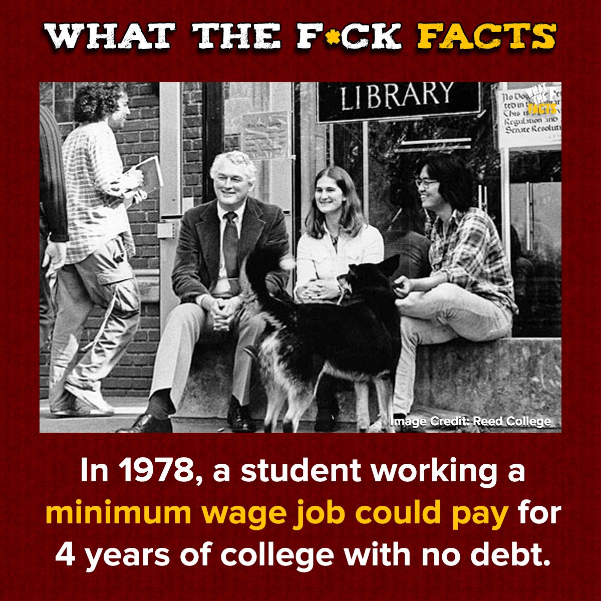 WhatTheFFacts's tweet image. 