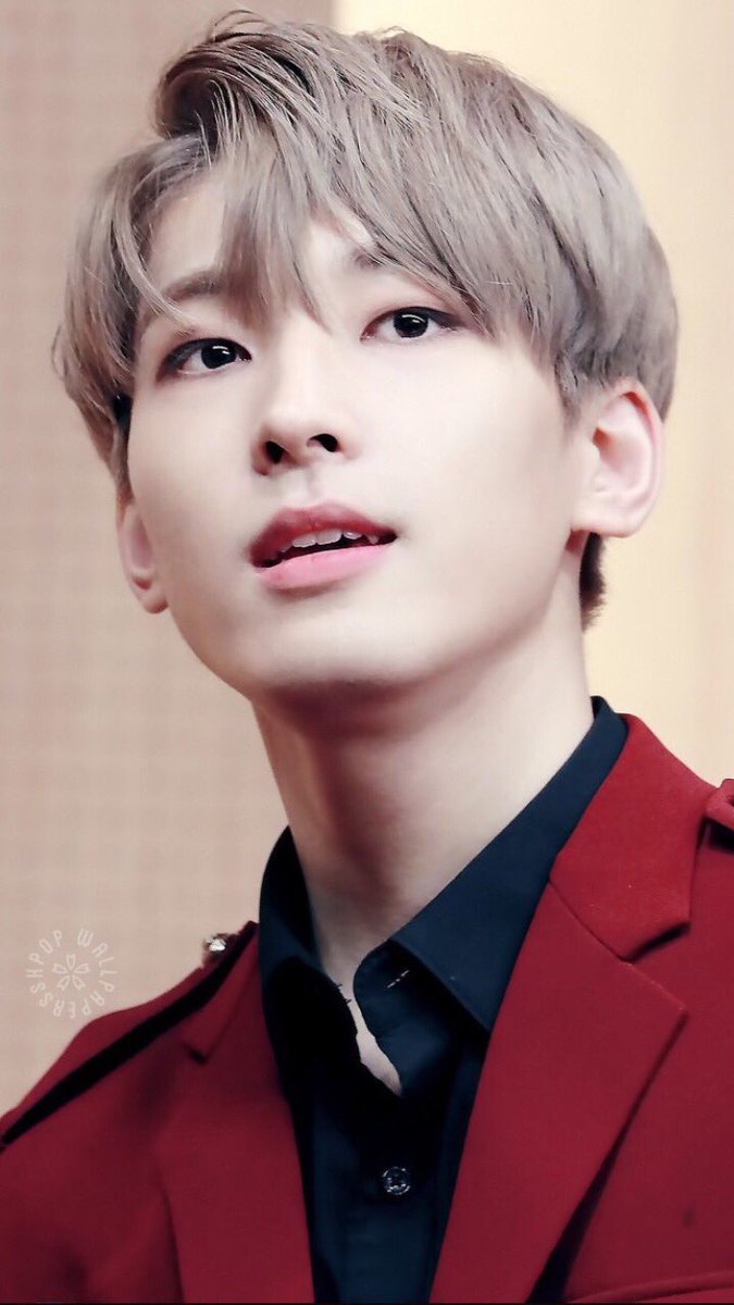 DiarioMingyu's tweet photo. amor olha como você é lindo e cheroso aaaaaa
põe de perfil pufavoo
@Diario_Wonwoo https://t.co/QmgZuaxbcH