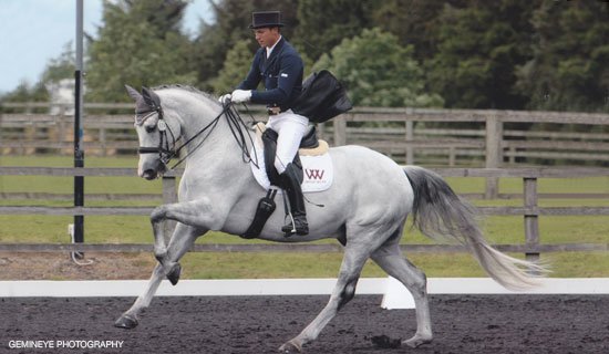 EquineElite1's tweet photo. NEW! Andrew Gould is recruiting for a head groom! Full details and to apply here - https://t.co/Z4rhlOhAbs https://t.co/rn6qHJG4VA