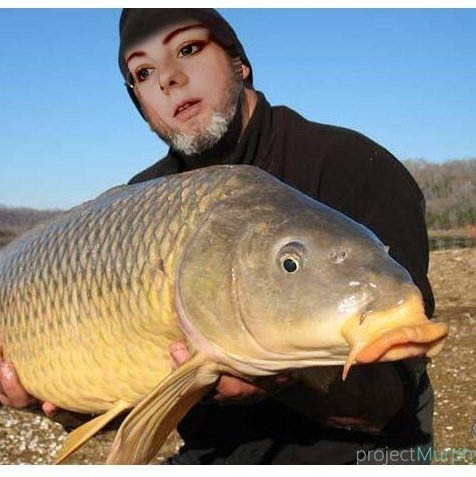 зеркальный карп биг. биг карп. рыболовные логотипы. венгерский карп. биг карп красногорск.