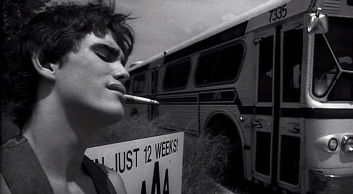 Matt Dillon was born on this day 54 years ago. Happy Birthday! What\s the movie? 5 min to answer! 