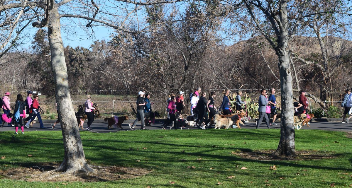 TakeFrezzor's tweet photo. Great turn-out at the Irvine Regional Park in support of Paws FUR Pink.https://t.co/1FAs44N21y https://t.co/lAHTOmgvfb