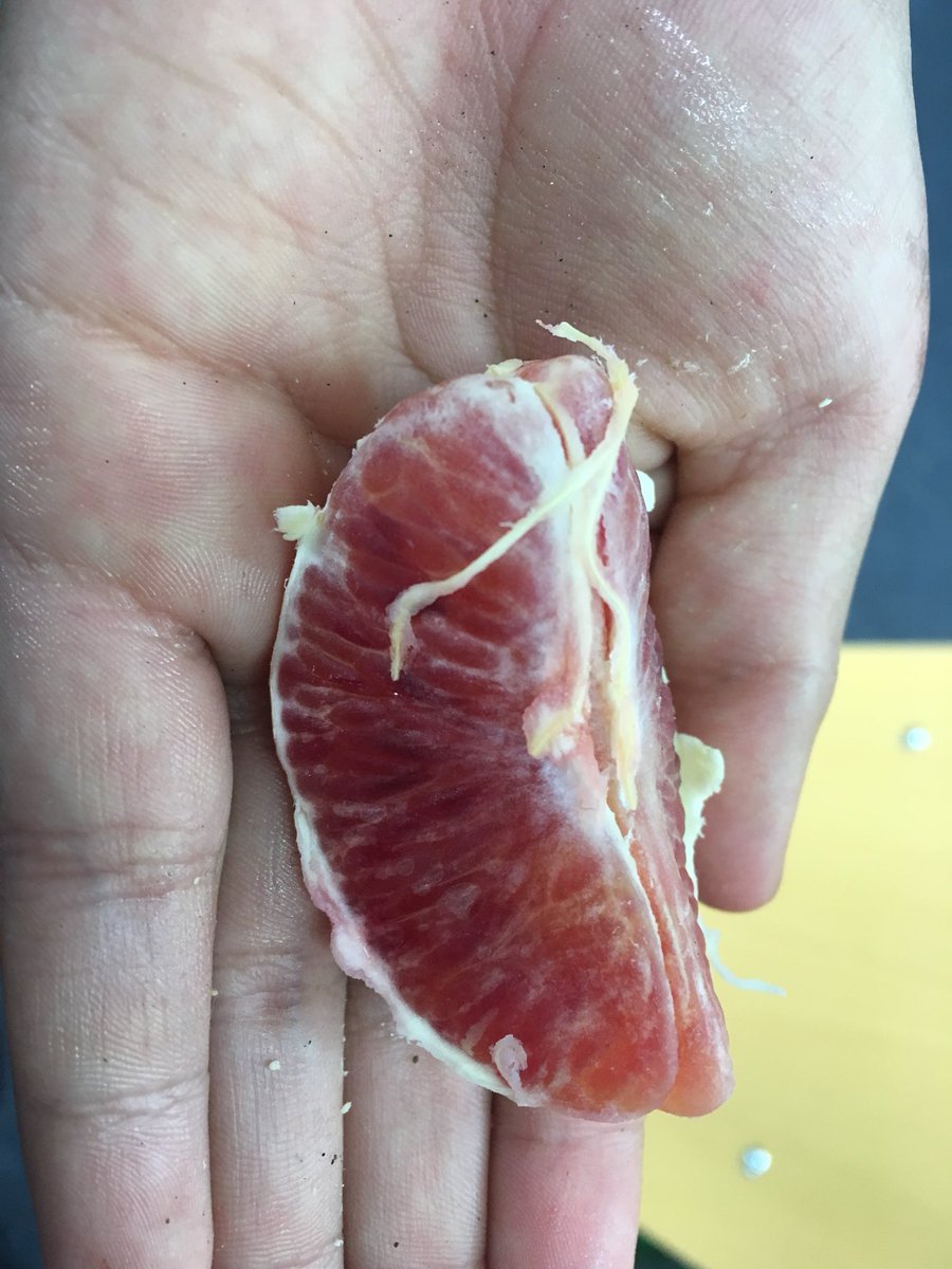 ClarkMC7's tweet photo. Does anyone know about a orange that is red inside it https://t.co/pRB0MapB71