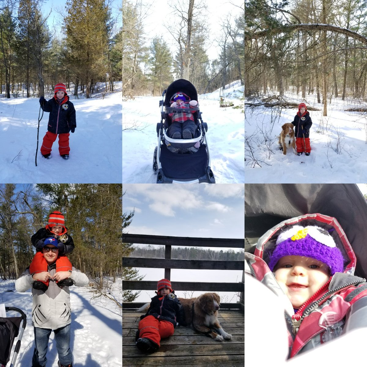 katty_remarks's tweet photo. Took advantage of the beautiful weather this family day weekend by taking a hike @PineryProvPark There's always so much to see and do @OntarioParks

#thebubs #toots #takeahike #getoutside #familyday #dannythetoller #novascotiaducktollingretriever https://t.co/4Pxa9x9fWr