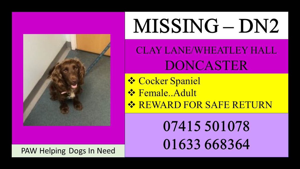 Mollie the Pug tweet media