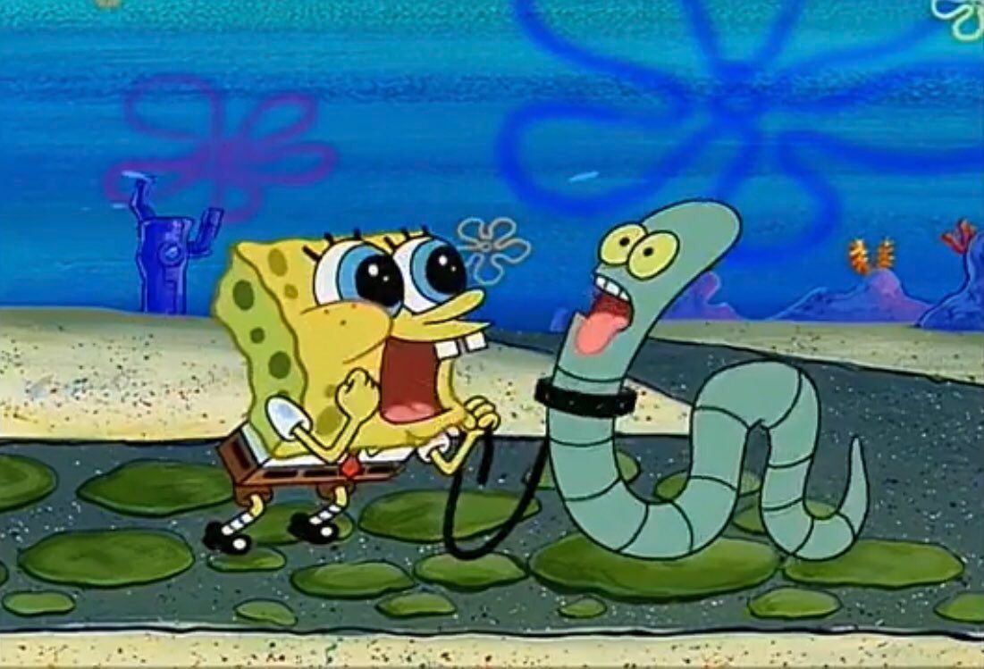 me when my pet does literally anything