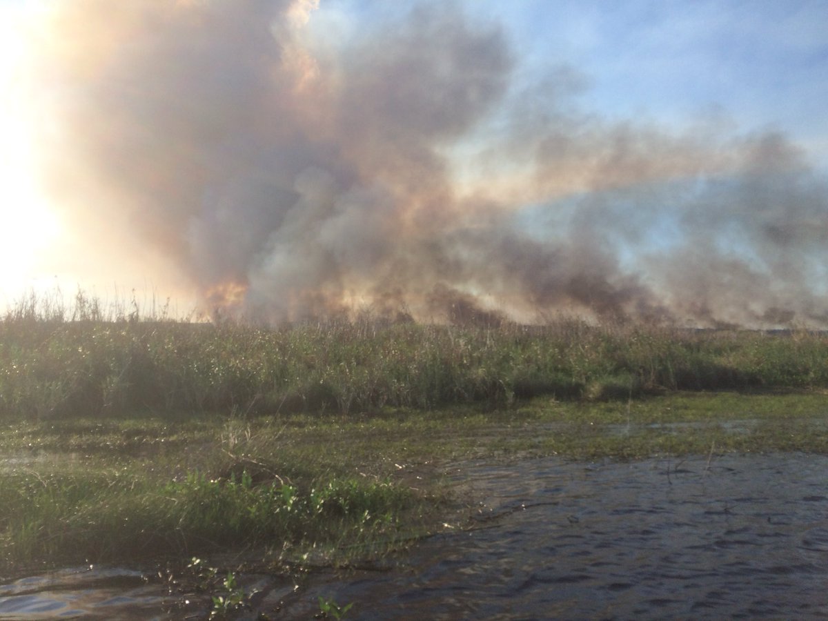 FFS_Orlando's tweet image. Picture of the #PointSetFire from @FFS_ORLANDO crews on scene.