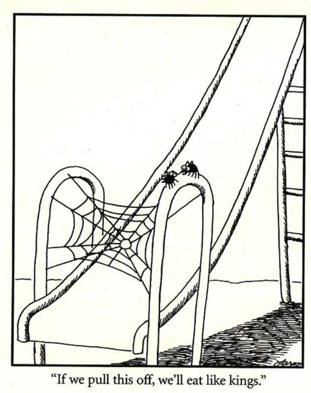 HillPest's tweet photo. #spiders #spiderweb #slipperydip #childrensplayground #dinnertime #eatlikekings https://t.co/yljM0AjwIC
