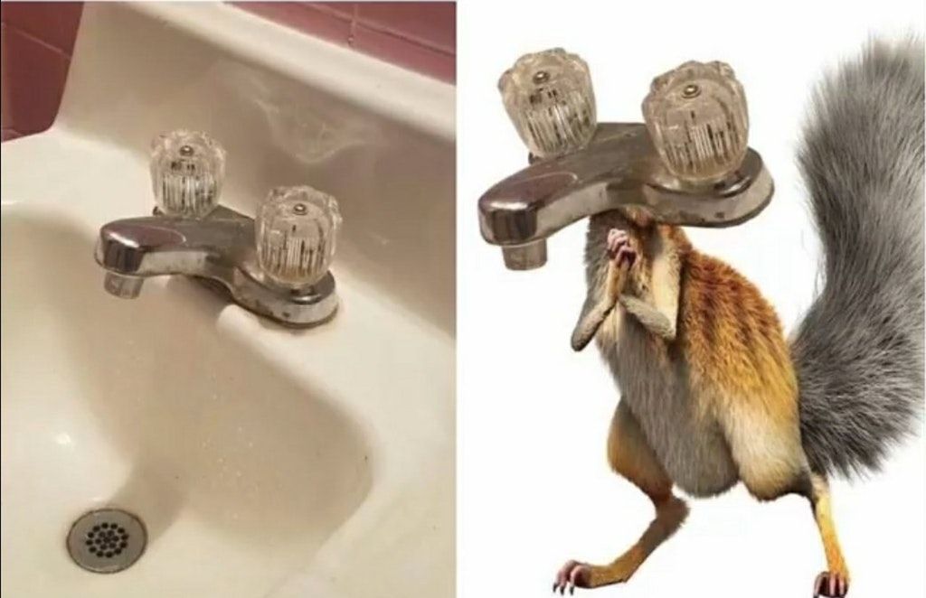9GAG's tweet photo. You can still see the pain in his eyes because he will never reach his nut.
https://t.co/nTyol3c7Ji https://t.co/JJTU48MGJ6