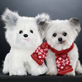 CutyDogs's tweet photo. Norbert and his toy :-) https://t.co/XuT64vANkM